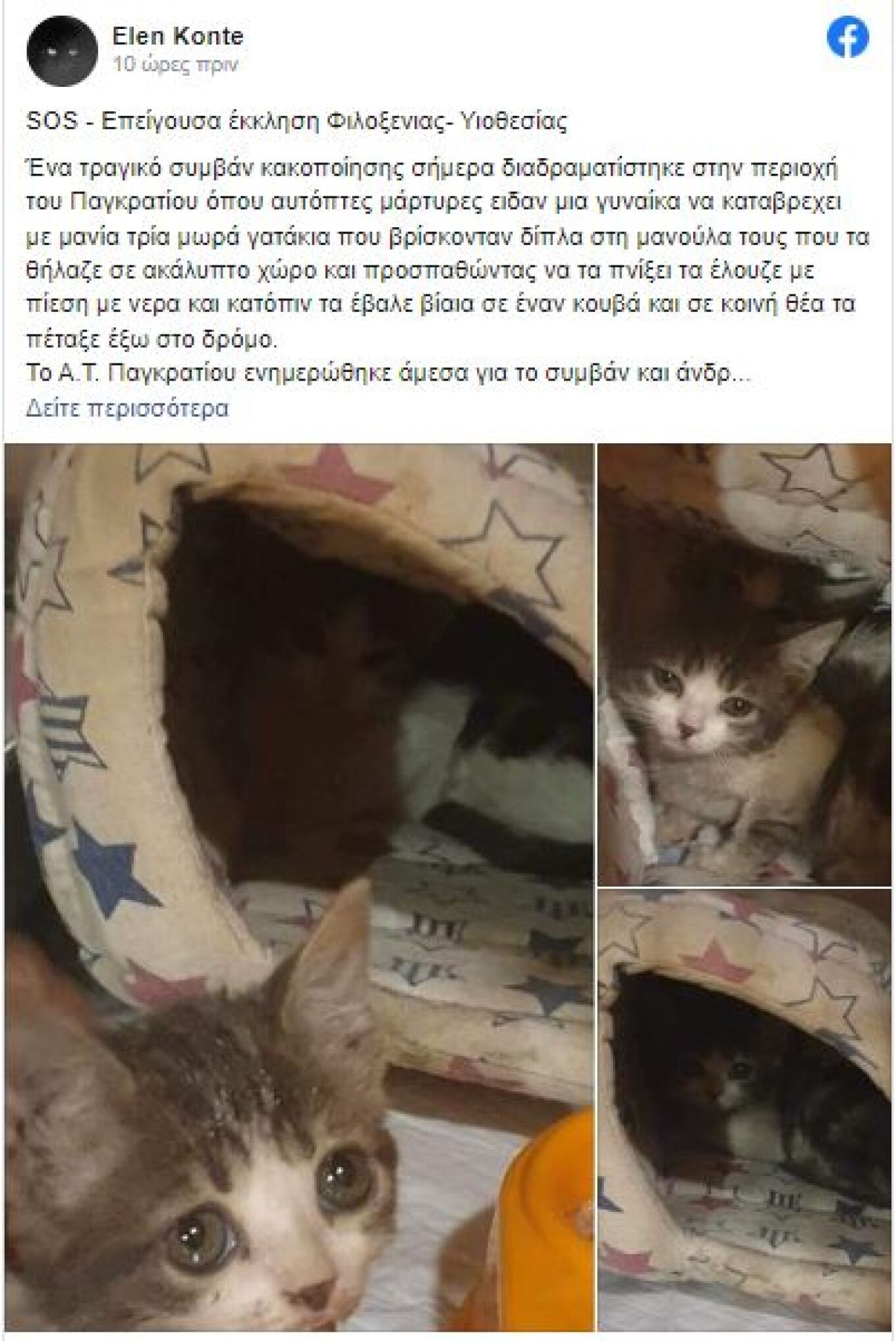 gatakiaanartisi.jpg