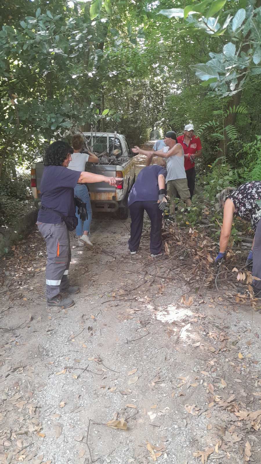 katharismos_dendrofuteia_3.jpg katharismos_dendrofuteia_3.jpg