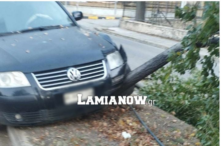 troxaio_lamia_1.jpeg troxaio_lamia_1.jpeg