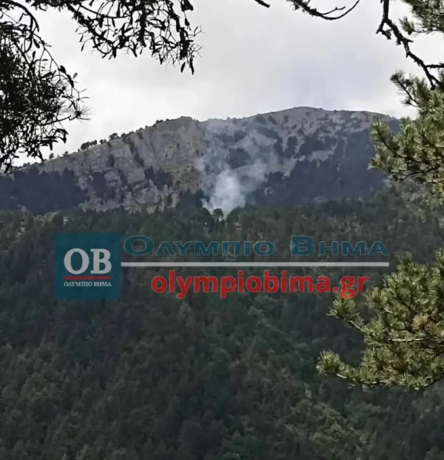 fotia_olympos_3.jpg fotia_olympos_3.jpg