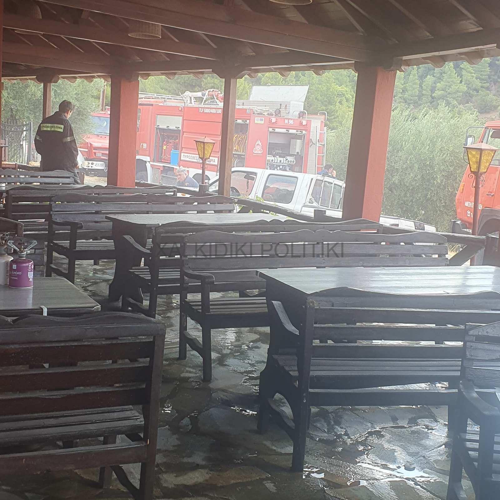 fotia_taberna_xalkidiki_3.jpeg fotia_taberna_xalkidiki_3.jpeg