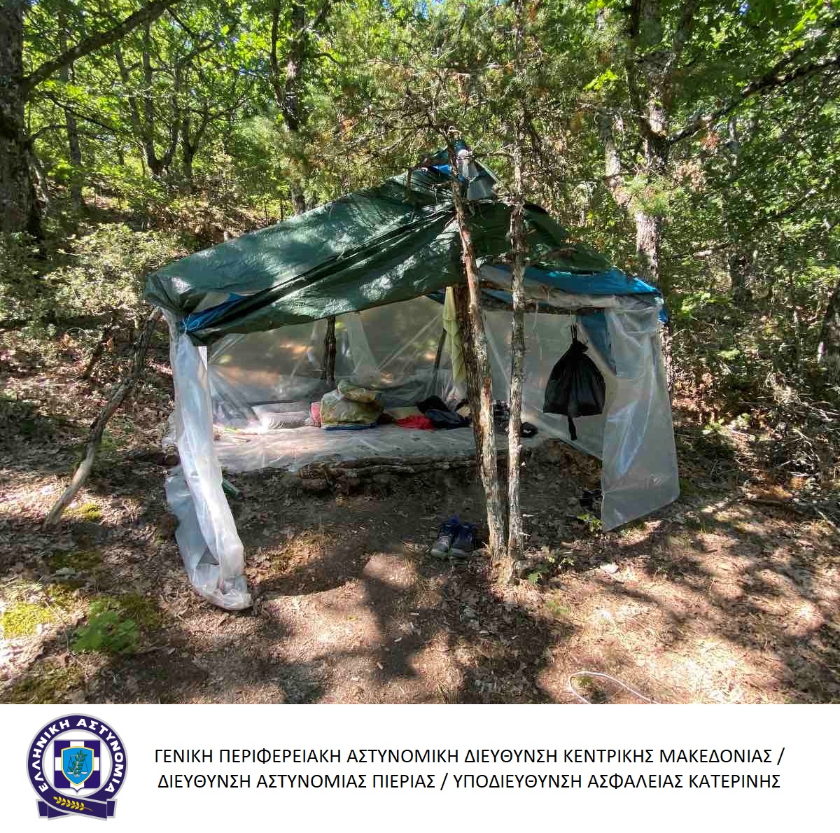 fyteia_kannabi_larisa_4.jpg fyteia_kannabi_larisa_4.jpg