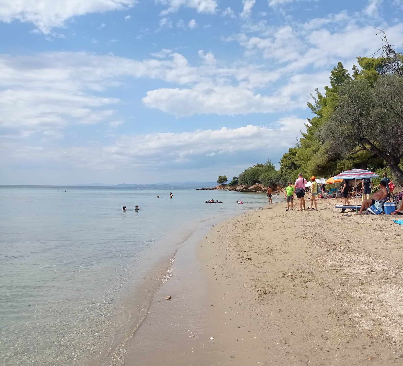 halkidiki_elia.jpg