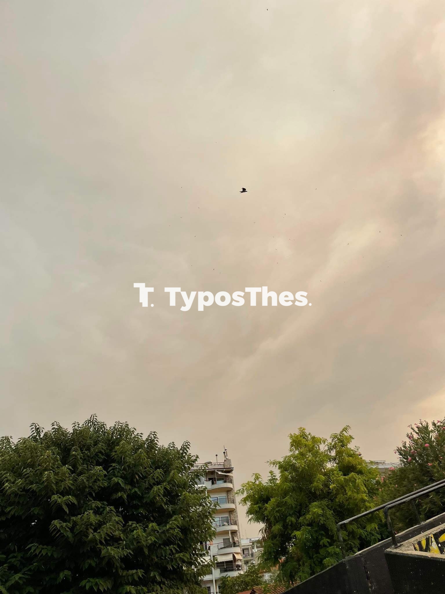 kapnoss_4.jpg kapnoss_4.jpg