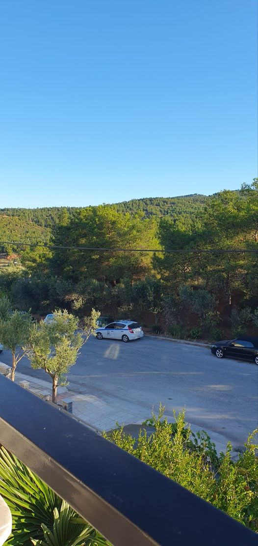 sygkentrosi_dentra_lofos_pylaia_2.jpeg sygkentrosi_dentra_lofos_pylaia_2.jpeg