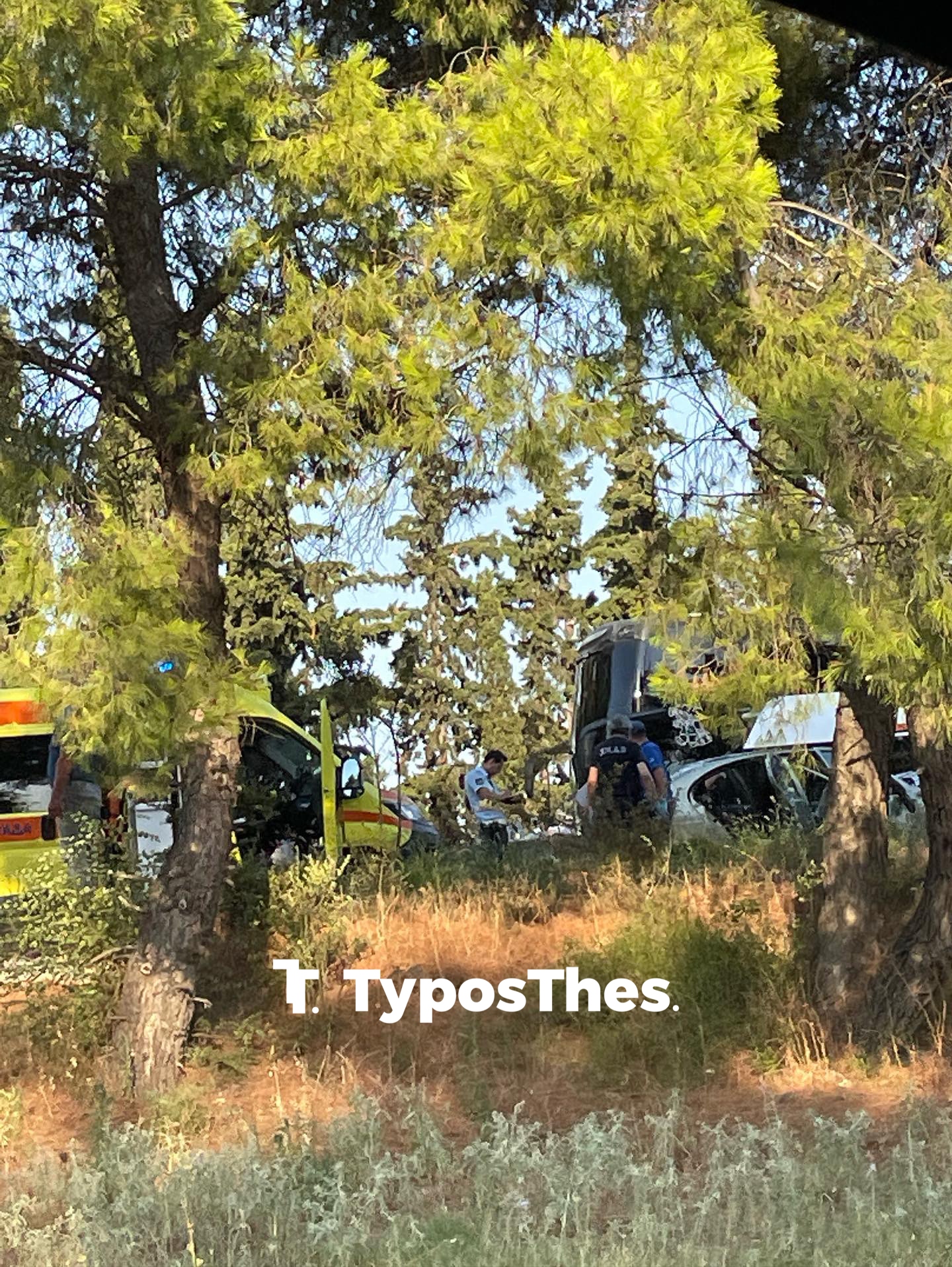 troxaio-m.jpg troxaio-m.jpg