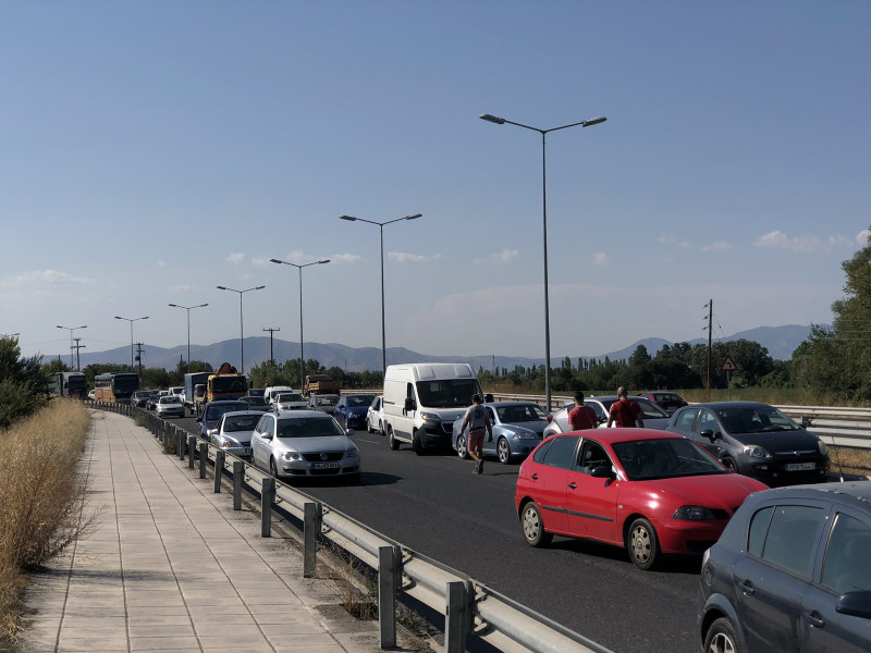 troxaio2_4.jpg troxaio2_4.jpg