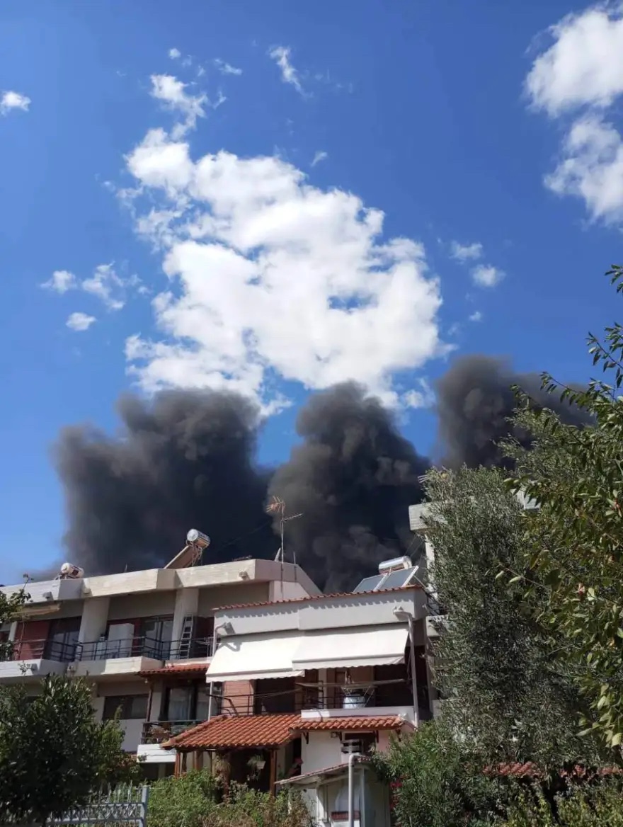 fotia_ergostasio_komotini_2.jpg fotia_ergostasio_komotini_2.jpg