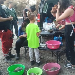 prosfygopoula_dadia_1.jpeg prosfygopoula_dadia_1.jpeg