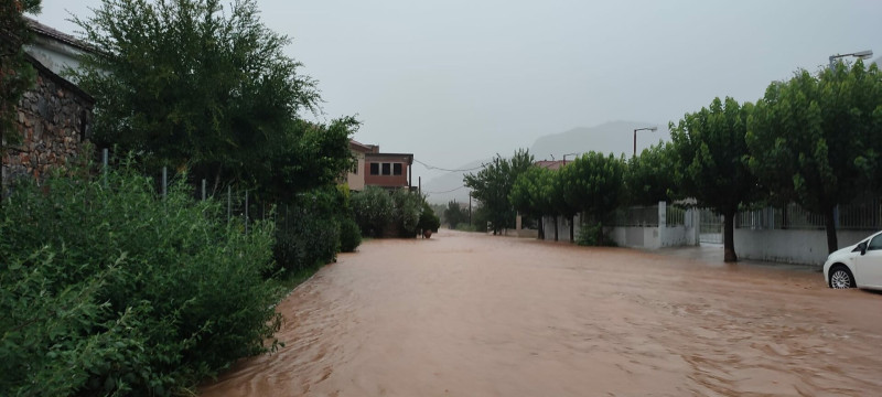 volos_plimmires_4.jpeg volos_plimmires_4.jpeg