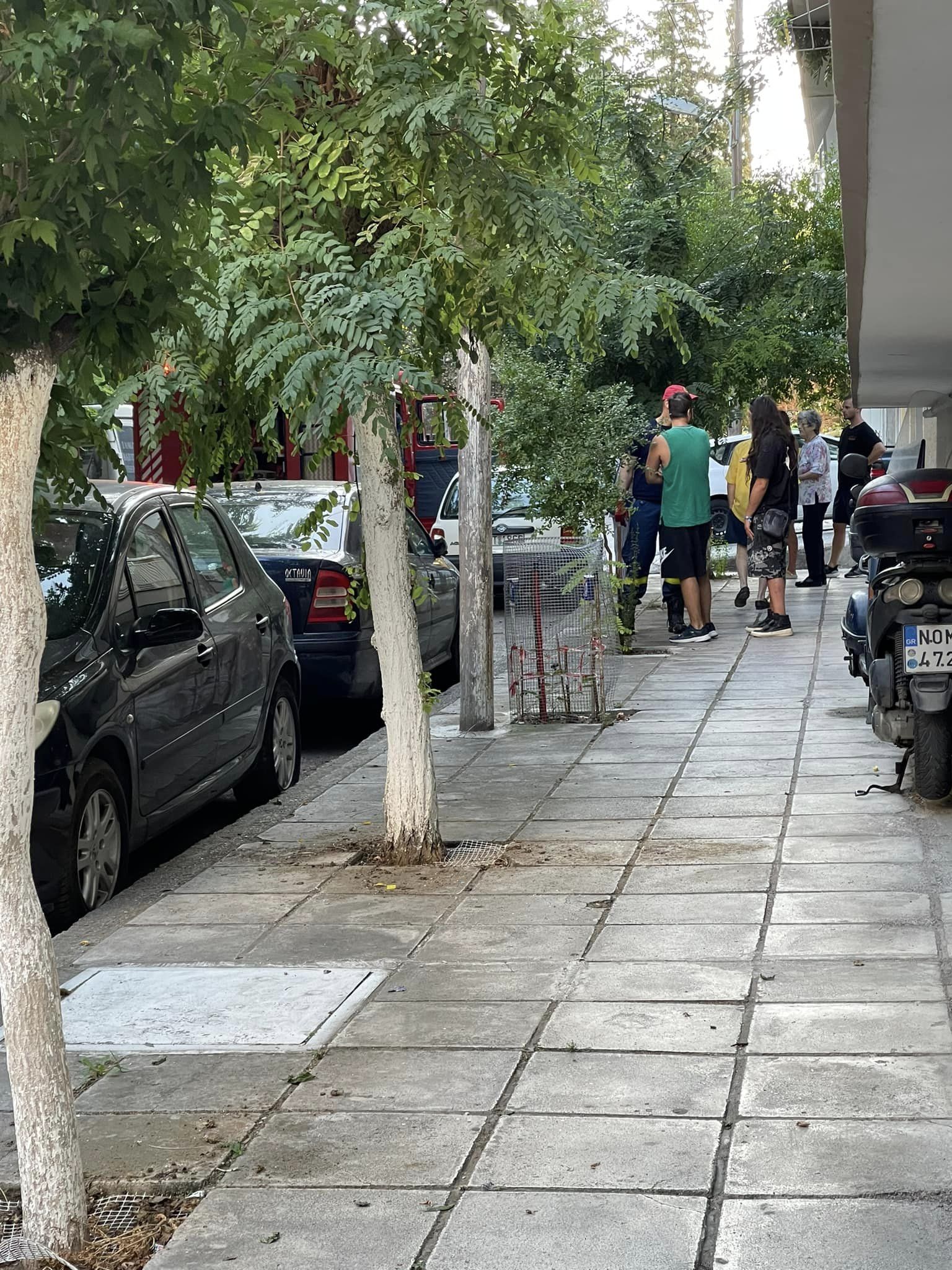 xarilaou-fotia3.jpg xarilaou-fotia3.jpg