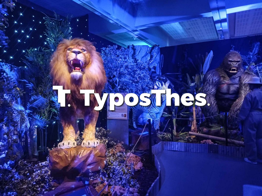 ecozoo1.jpg ecozoo1.jpg
