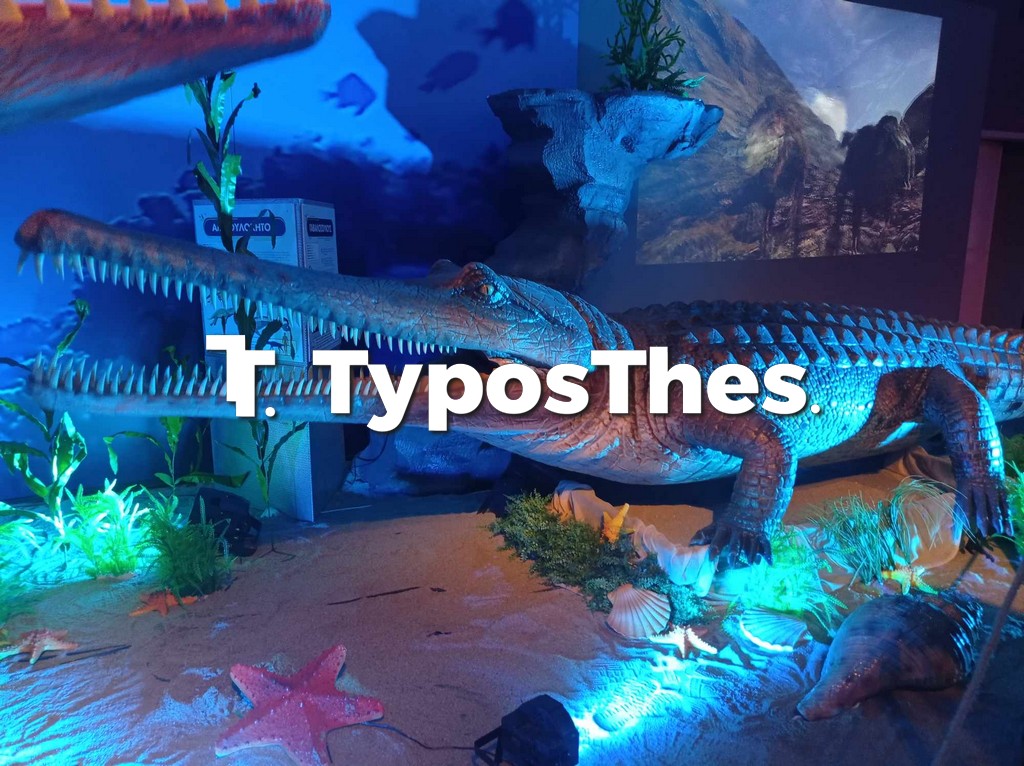 ecozoo4.jpg ecozoo4.jpg