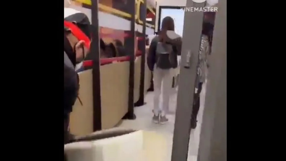 mcdonald_mice.jpg mcdonald_mice.jpg