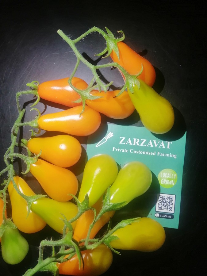 zarzavat-1.jpg zarzavat-1.jpg