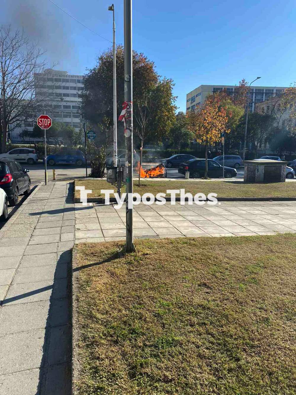 fotia_kados_ethnikis_amynis.jpg fotia_kados_ethnikis_amynis.jpg