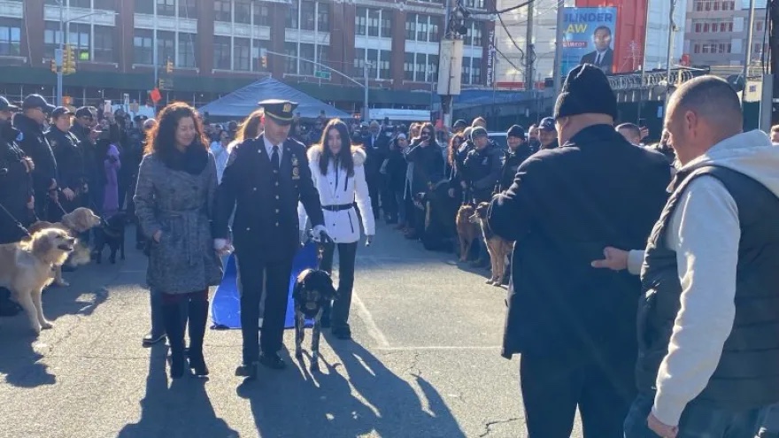 nypd_syntaxi_zeimpekiko_2.jpg nypd_syntaxi_zeimpekiko_2.jpg