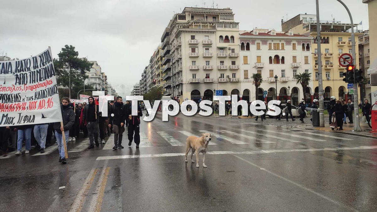 poreia-thessaloniki-grigorop1.jpg