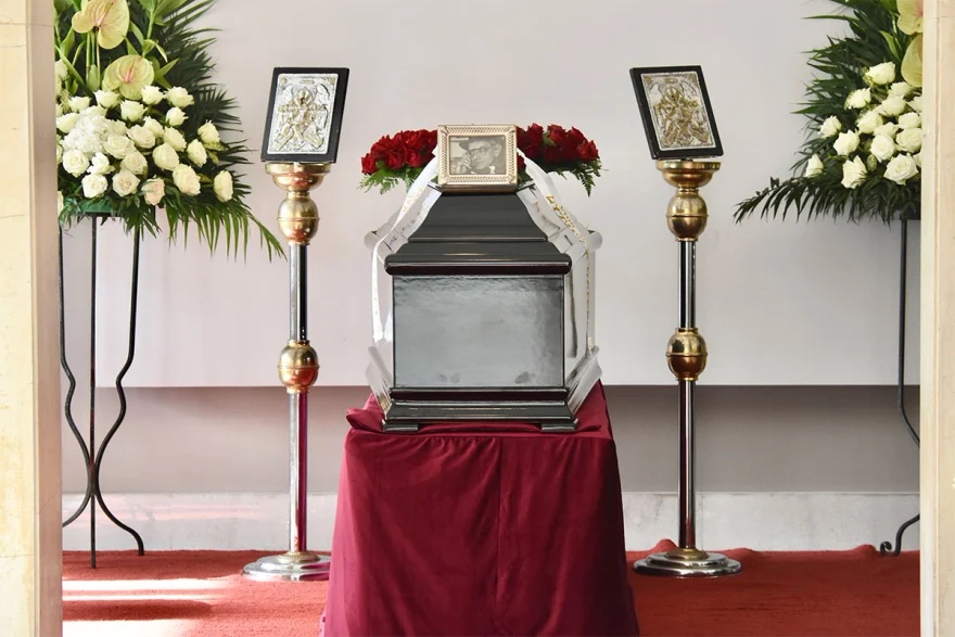 vasilikos_kideia_5.jpg vasilikos_kideia_5.jpg