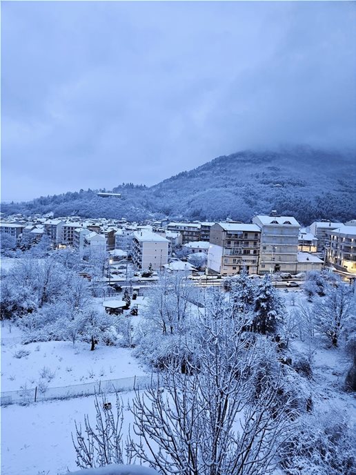 florina.jpg florina.jpg