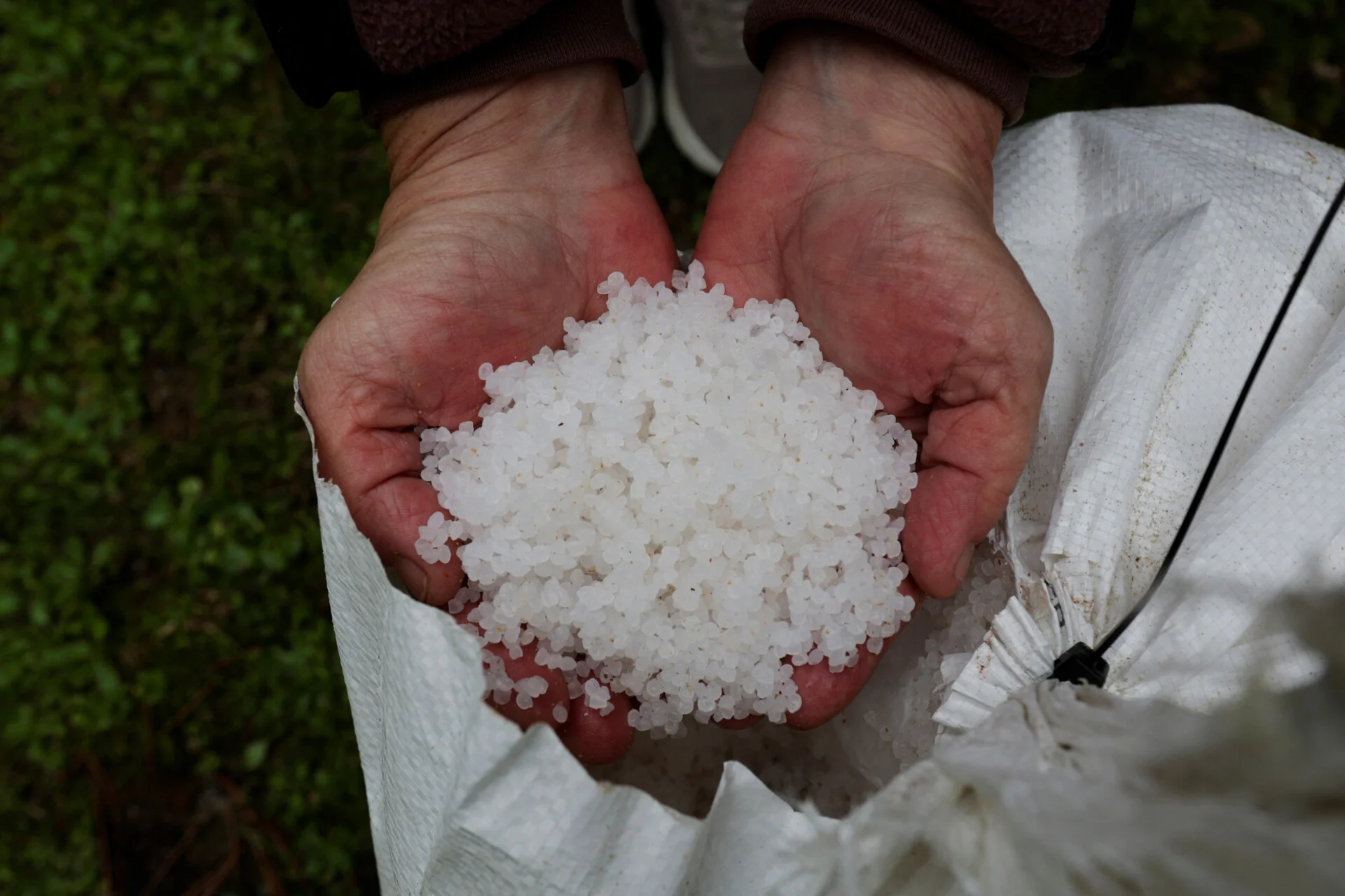 ispania_pellets.jpg ispania_pellets.jpg