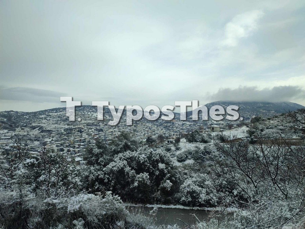 xortiatis_xioni3.jpg xortiatis_xioni3.jpg
