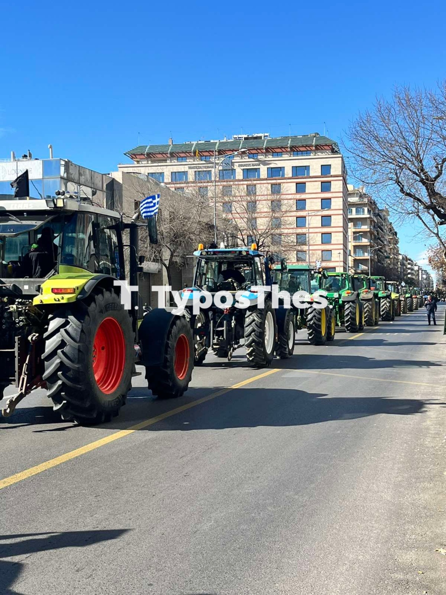 agrotes_1.jpg agrotes_1.jpg