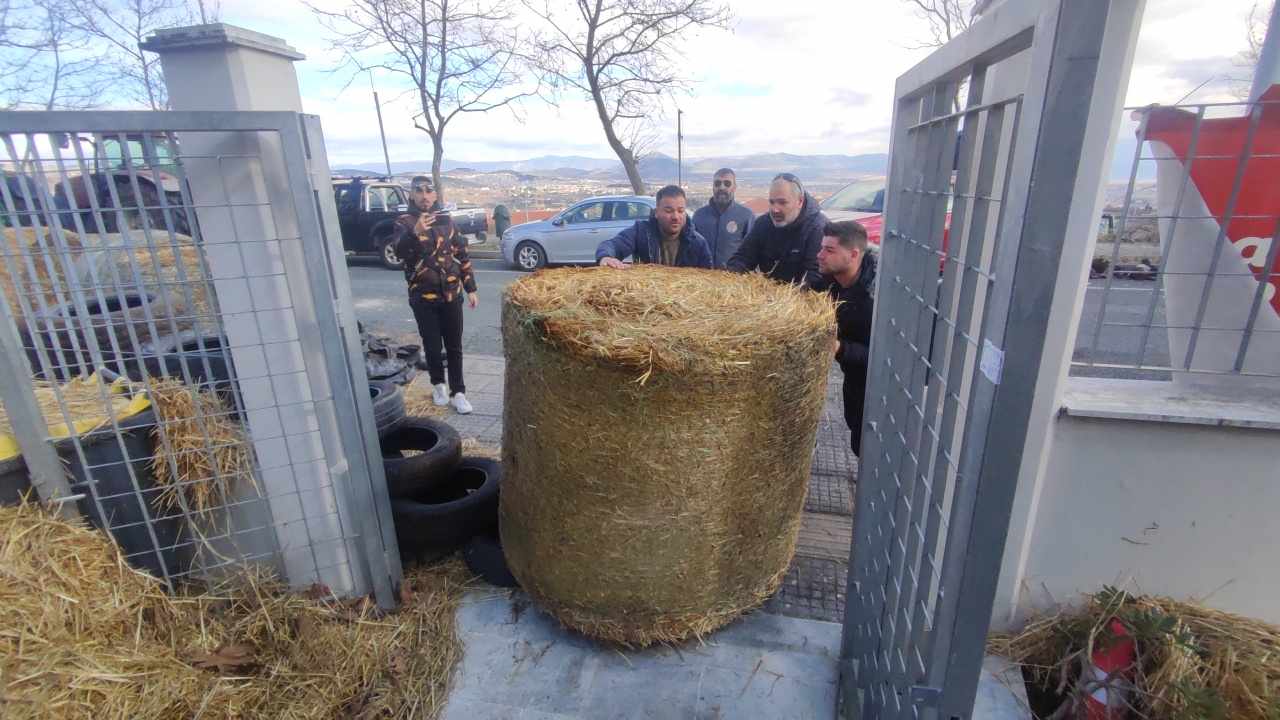agrotes_pdm_kozani_3.jpg agrotes_pdm_kozani_3.jpg