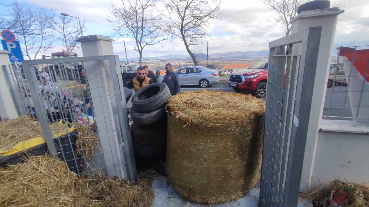 agrotes_pdm_kozani_4.jpg agrotes_pdm_kozani_4.jpg