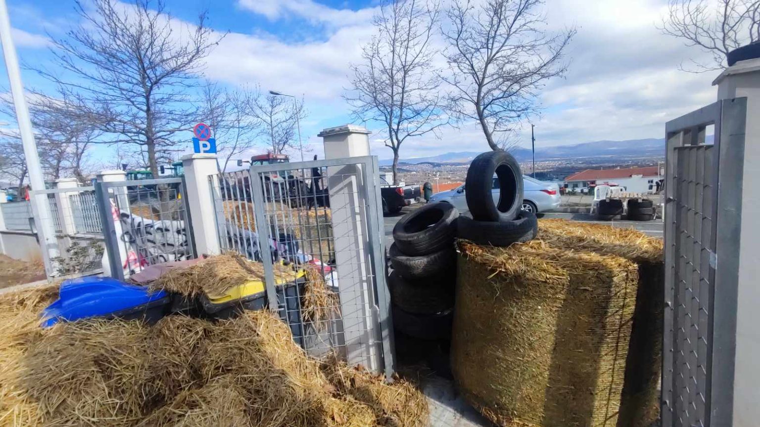 agrotes_pdm_kozani_5.jpg agrotes_pdm_kozani_5.jpg