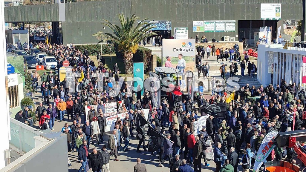 agrotes_silallitirio2.jpg agrotes_silallitirio2.jpg