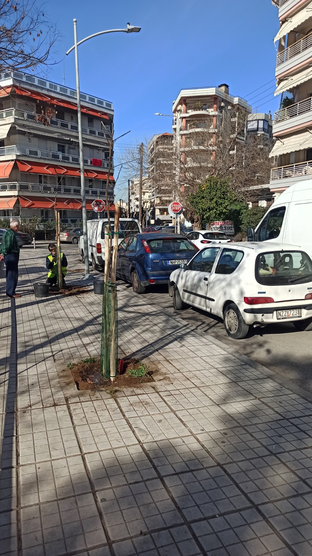 dentra_thessaloniki_3.jpg dentra_thessaloniki_3.jpg