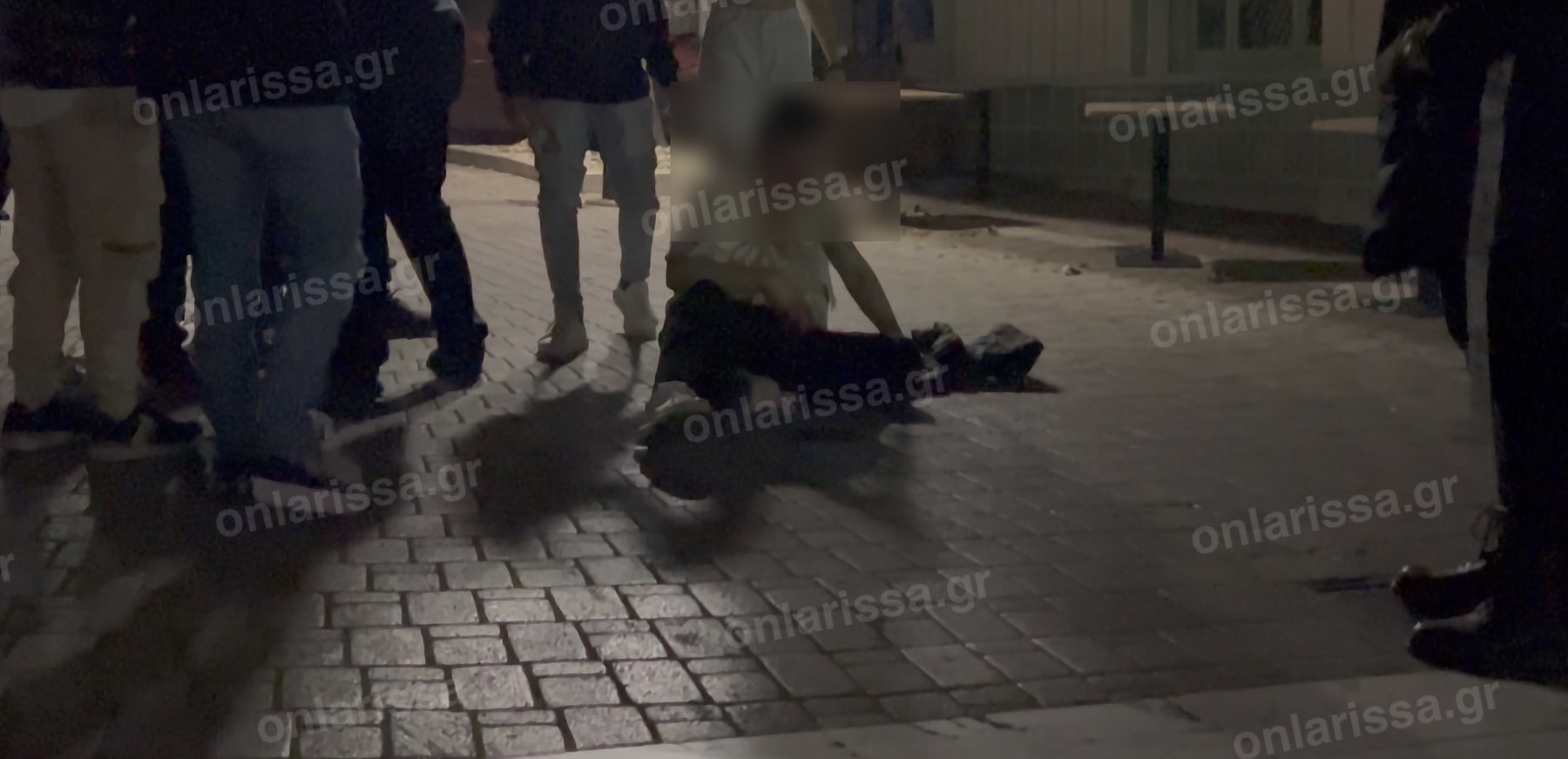 larisa_xylodarmos_4.jpg