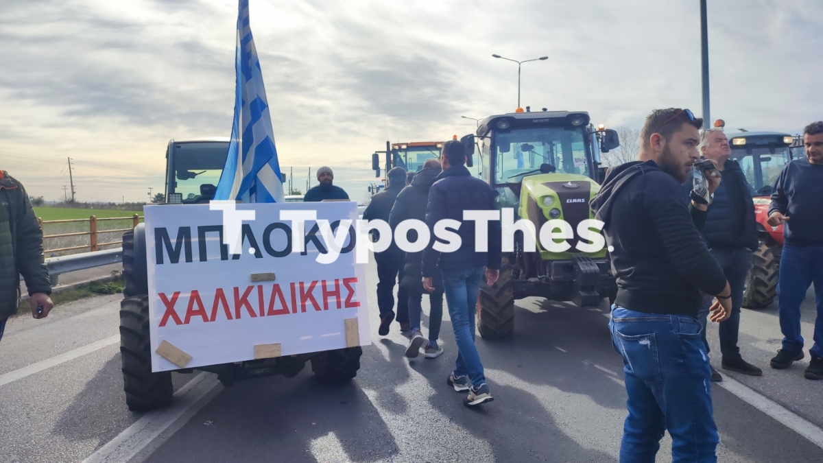 mploko-agrotes1.jpg mploko-agrotes1.jpg