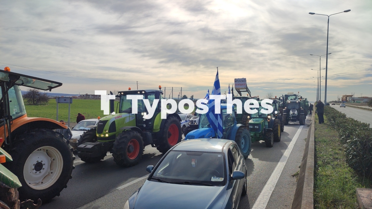 mploko-agrotes2.jpg mploko-agrotes2.jpg