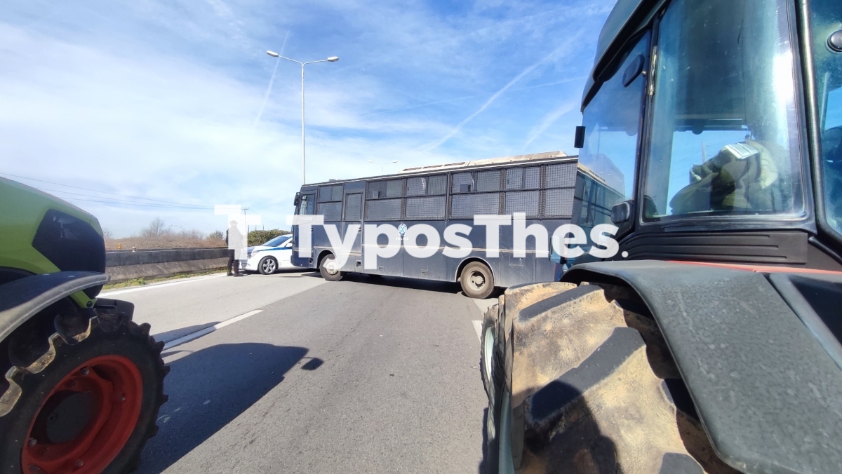mploko-agrotes.jpg mploko-agrotes.jpg