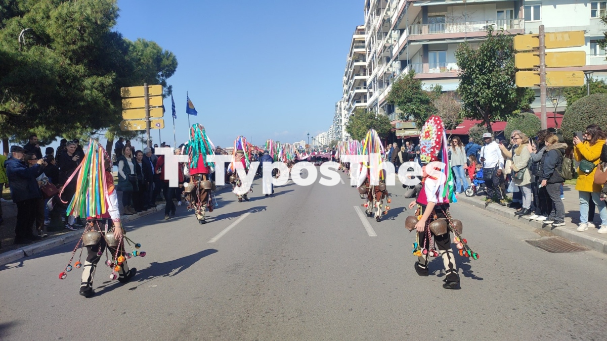 kodonoforoi16.jpg kodonoforoi16.jpg
