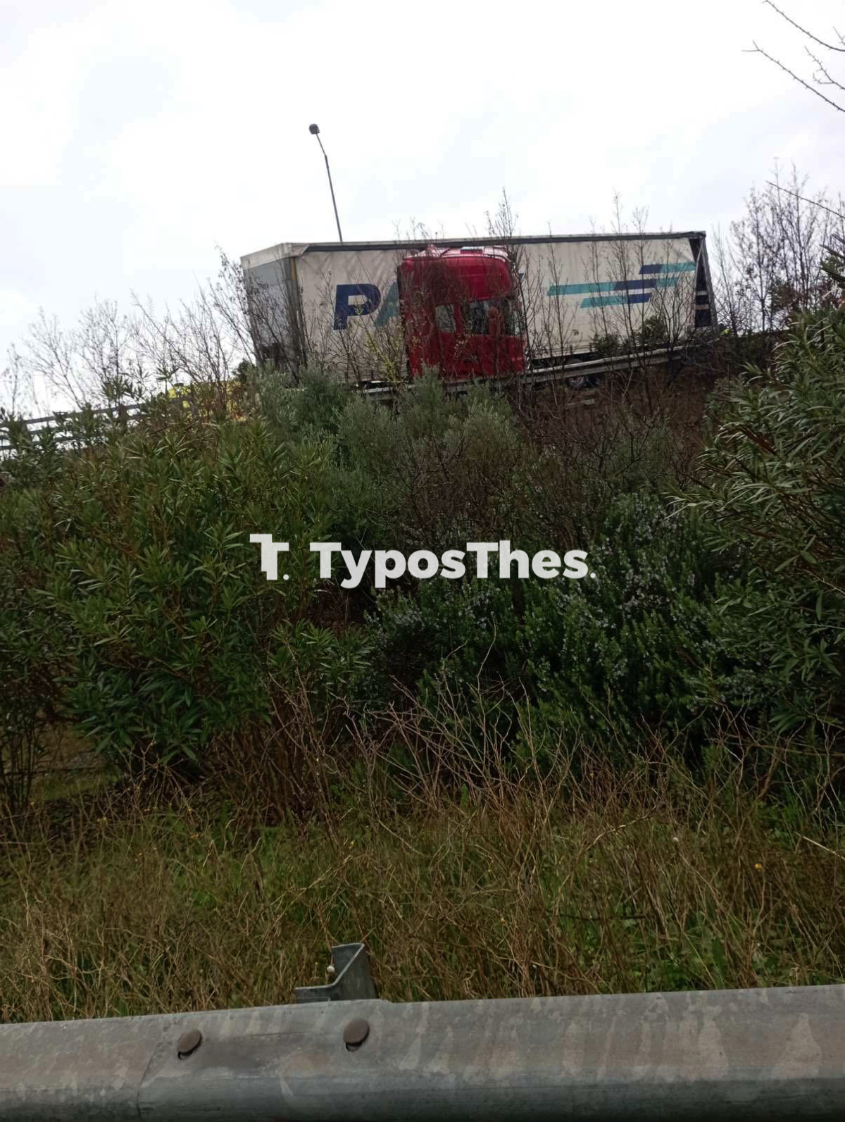ntalika_diplose_1.jpg ntalika_diplose_1.jpg