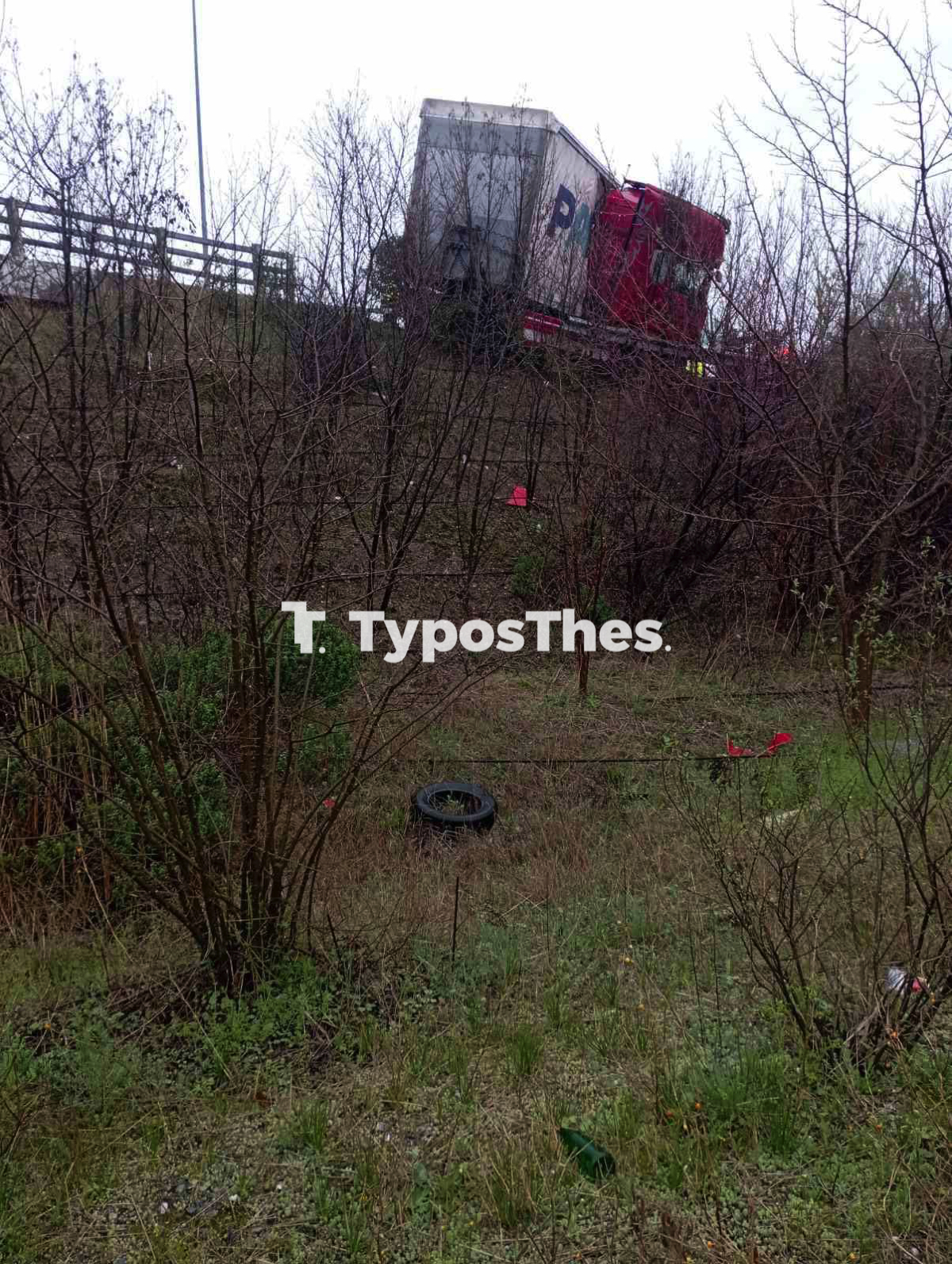 ntalika_diplose_2.jpg ntalika_diplose_2.jpg