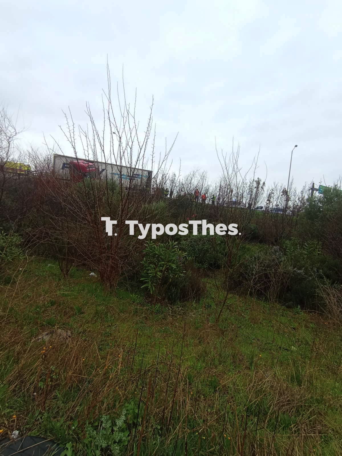 ntalika_diplose_3.jpg ntalika_diplose_3.jpg