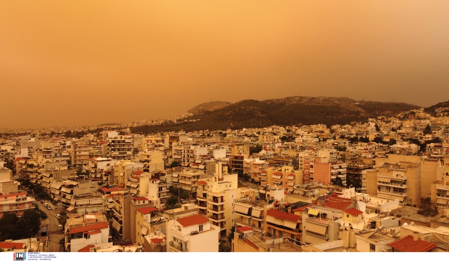 athina-skoni.jpg athina-skoni.jpg
