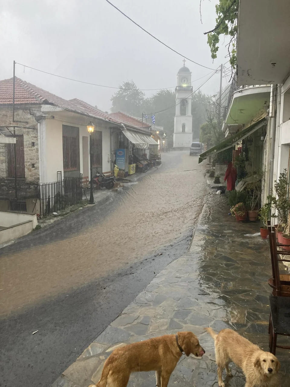 pilio-1.jpg_1.jpg pilio-1.jpg_1.jpg