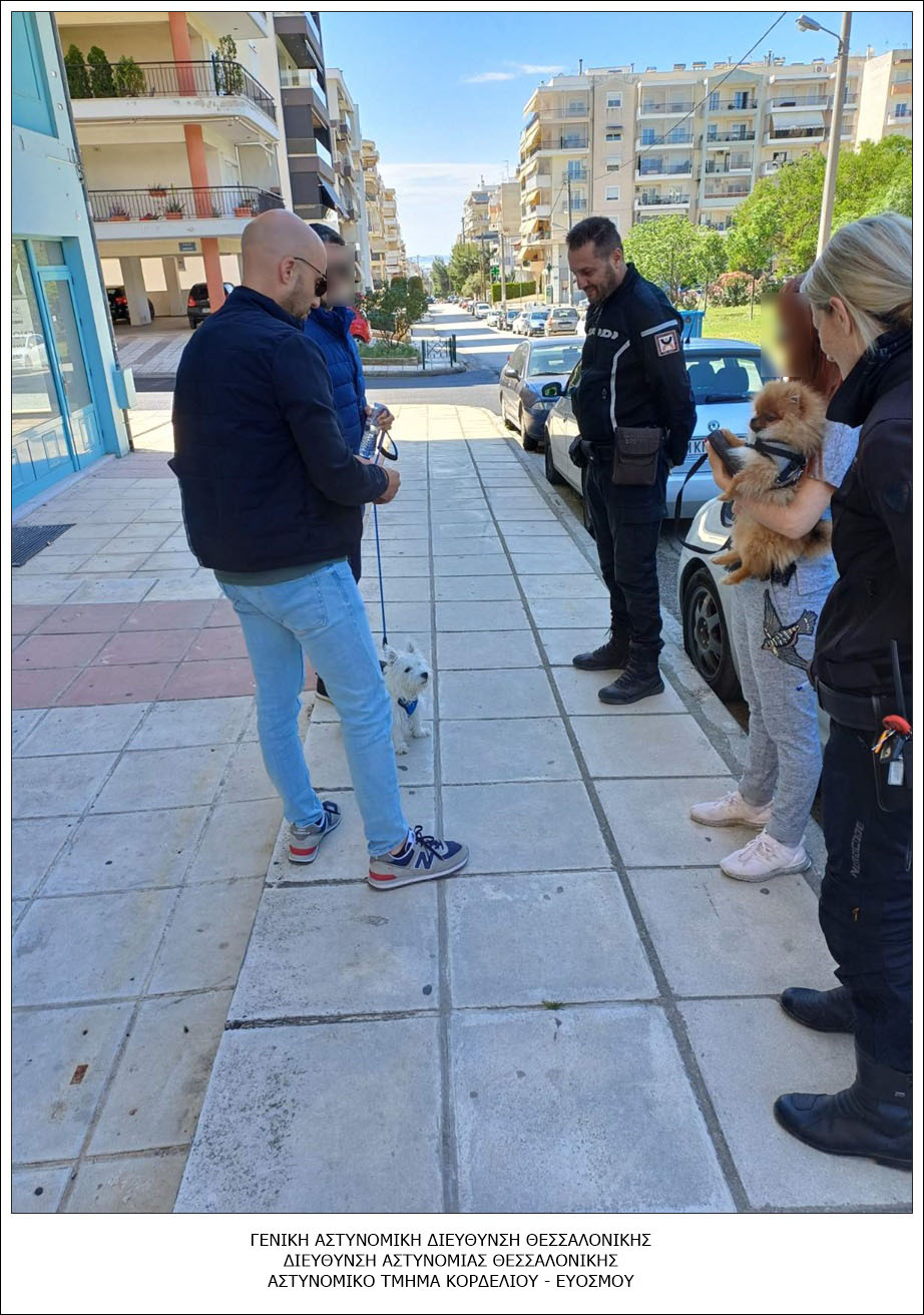 2024-05-13_foto_despozomena_zoa_2.jpg 2024-05-13_foto_despozomena_zoa_2.jpg