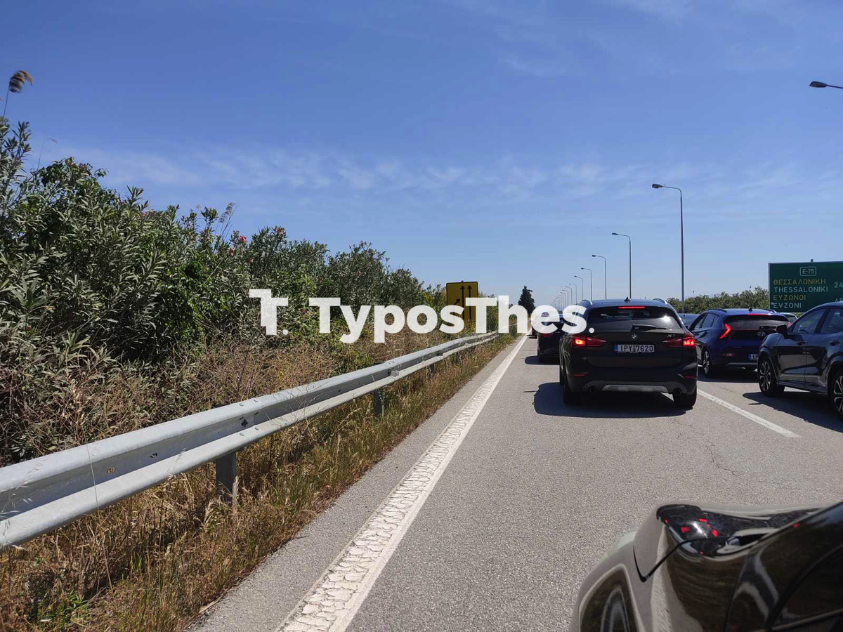 diodia_malgara_epistrofi_1.jpg diodia_malgara_epistrofi_1.jpg