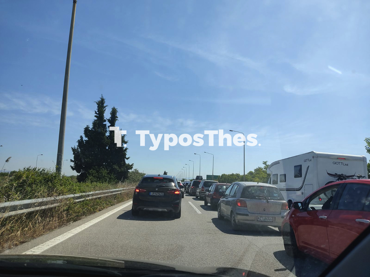 diodia_malgara_epistrofi_2.jpg diodia_malgara_epistrofi_2.jpg