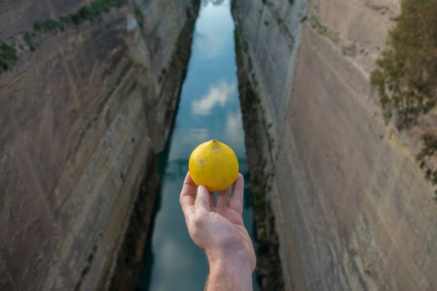 lemon_10_print.jpg lemon_10_print.jpg