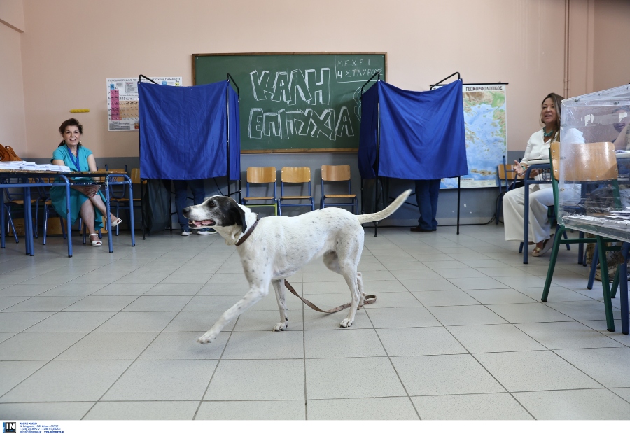 ekloges_5.jpg ekloges_5.jpg
