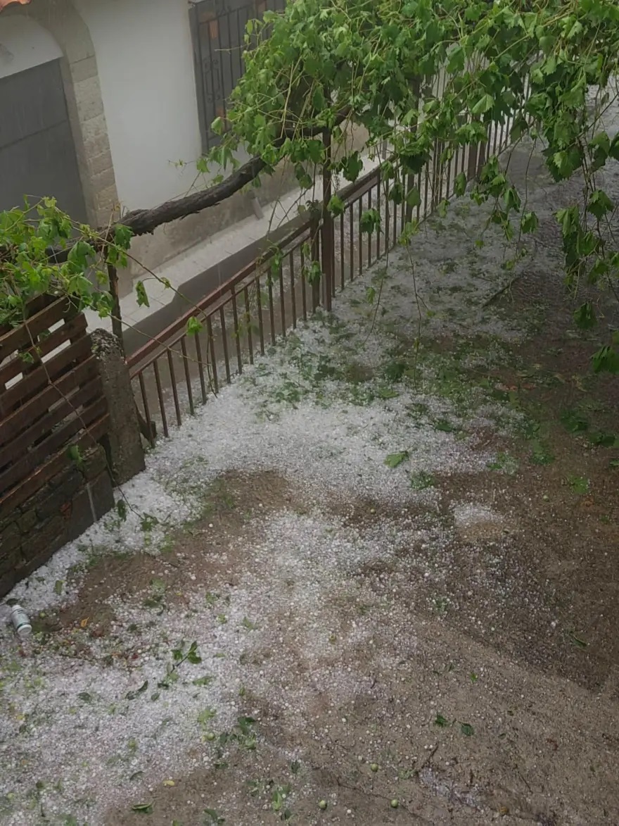 karditsa3.jpg karditsa3.jpg