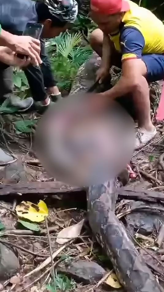 capture-indonisia.jpg capture-indonisia.jpg
