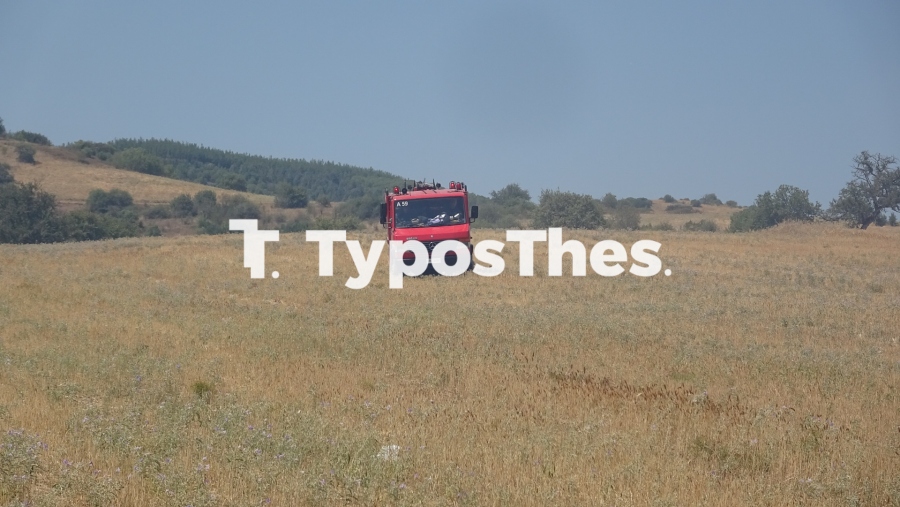 fotia-pyrosvestiki.jpg fotia-pyrosvestiki.jpg
